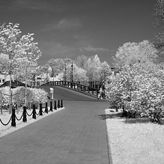 photo "Infra-RED Petersburg"