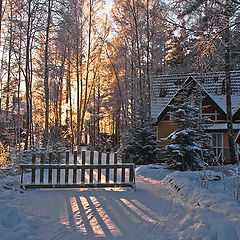 фото "Зимняя зарисовка"