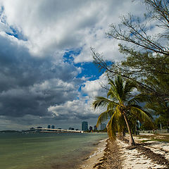 photo "Miami shores in the middle of the winter"