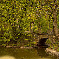 photo "Bridge"