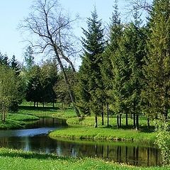 фото "В весеннем парке"