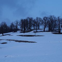 фото "The blue hour"