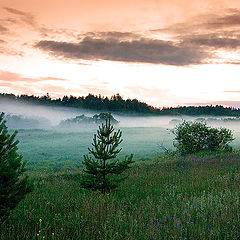 photo "Morning fog"