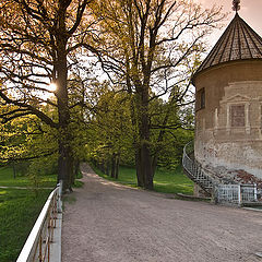 photo "Corners of Pavlovsk park (2)"