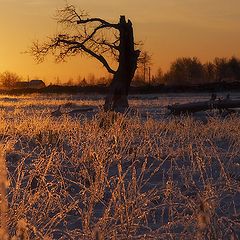 фото "На закате..."