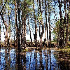 фото "Колдовской каньон"