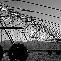 photo "Agriculture"