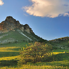 фото "Бурундук-кая."