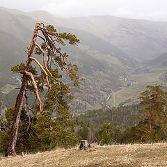 фото "Кавказ"