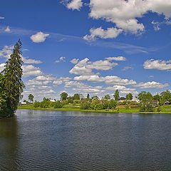 фото "яркий май"