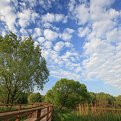 photo "Bridge"