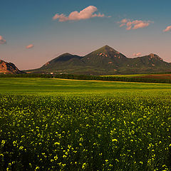 фото "Конец весны..."