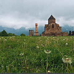 фото "Одуванчики..."