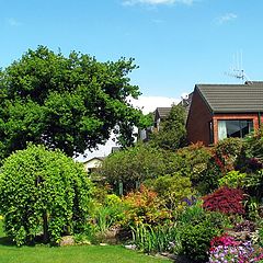 photo "A New Zealand Garden."