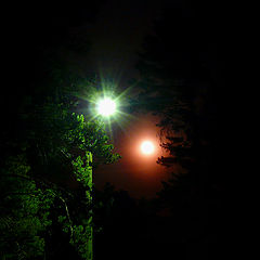 photo "night luminaries"