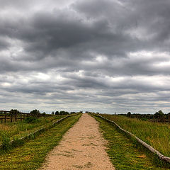 photo "moorland"