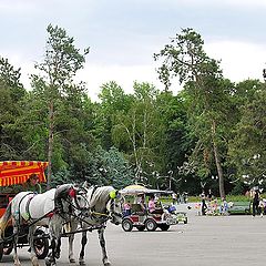 фото "в парке"