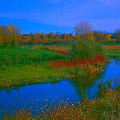 photo "Field And Stream"