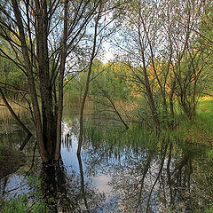 photo "drowning in the spring"