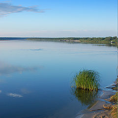 фото "Синева"