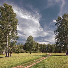 фото "Среди берез"