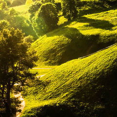 photo "The green fairytale"