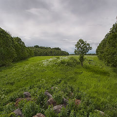 фото "Перед дождём"