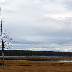 фото "Одиночество"