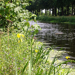 photo "waterside"