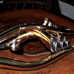 фото "trompeta en ra"