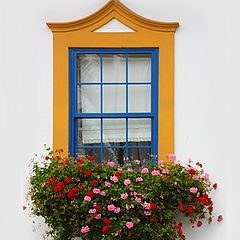 фото "flowered window"