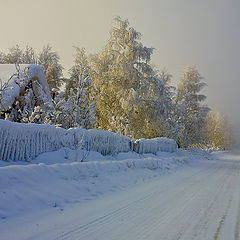 photo "***"