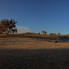 photo "Cold sunrise"