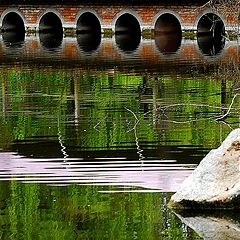 photo "the bridge"