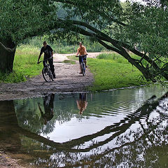 photo "Rainy Summer"