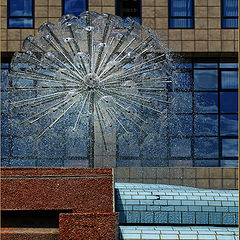 фото "water taraxacum"