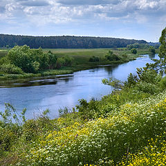 фото "На Курщине"