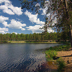 фото "Лесное озеро"