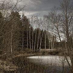 фото "Апрель пришёл, хмурый"