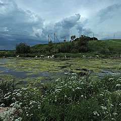 photo "Seeking of Pinokkio"