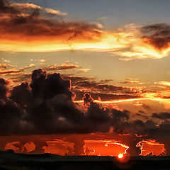 photo "nature's show"