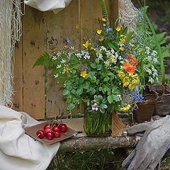 photo "Still life on garden bench"