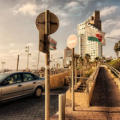 фото "Tel-Aviv 6352"