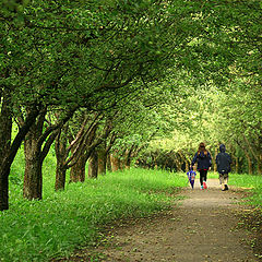 photo "paths of childhood"