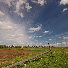 photo "After storm"