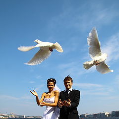 фото "Свадебные голуби"