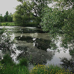photo "The Quiet Pond"
