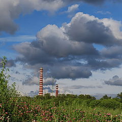 photo "Wind"