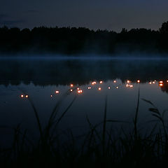 photo "The Summer Night Dream"