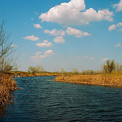 photo "River Or. Spring. Steppe."